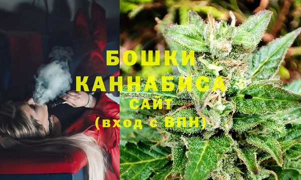 стаф Лихославль